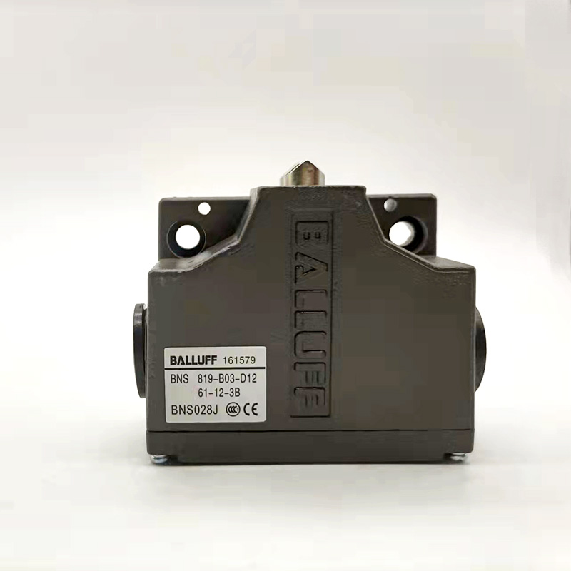 Travel Switch BNS819-B02-D12-6 - Travel Accessories Manufacturer ulasan dan harga