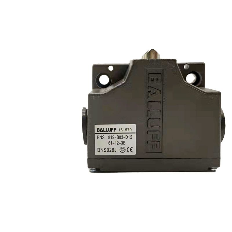 Travel Switch BNS819-B02-D12-6 - Travel Accessories Manufacturer ulasan dan harga
